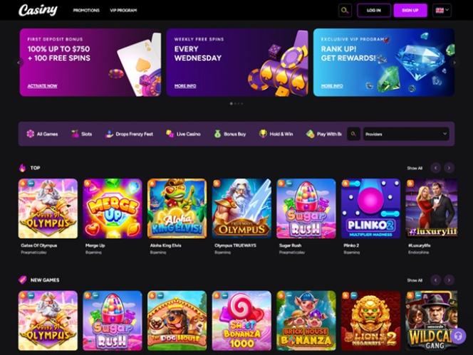 The Ultimate Guide to Casiny App Your Gateway to Exciting Gaming Experiences